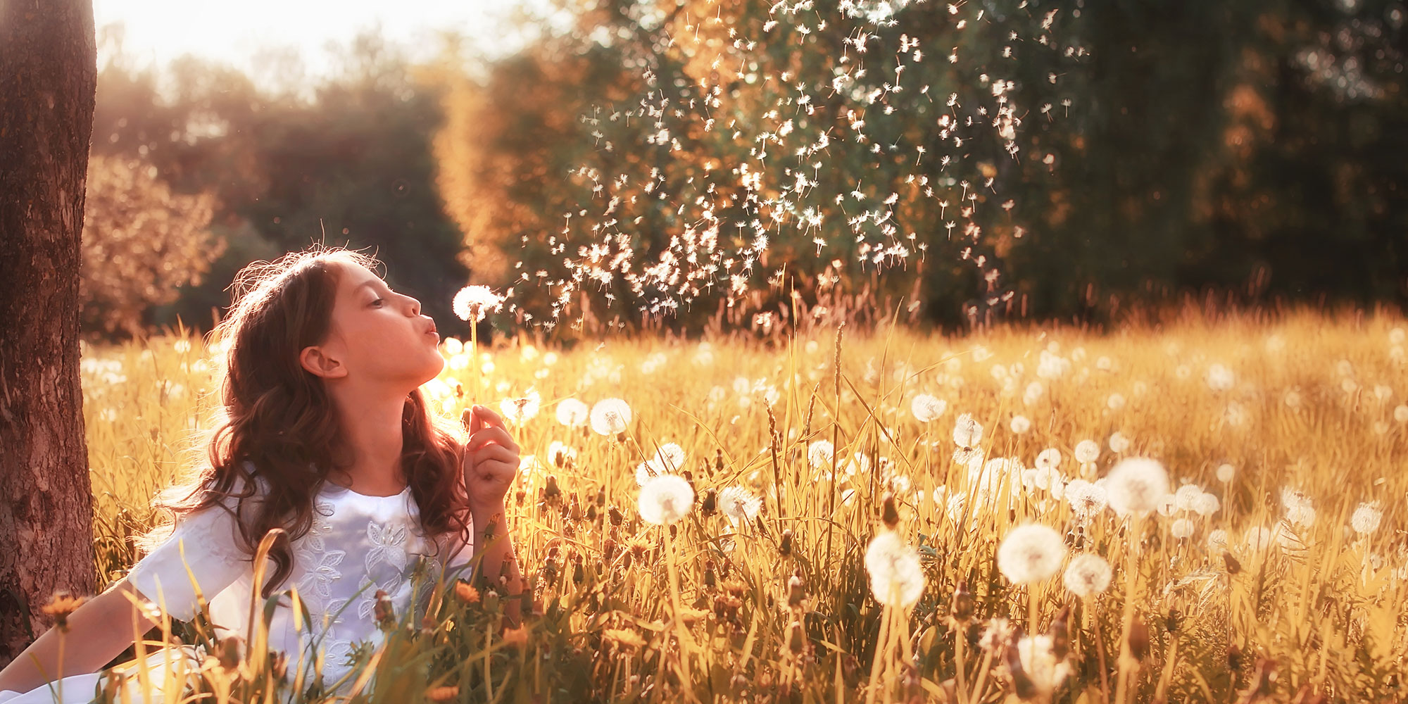 HNO-Praxis Dr. med. Cornelia Müller